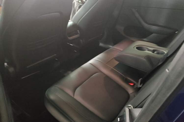 Used Tesla Model Y 2021 Long-Range All-Wheel-Drive Version Left Rear Seat