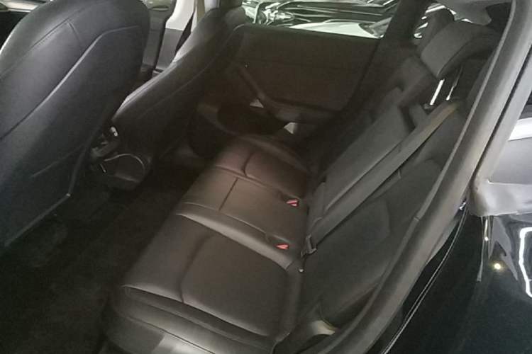 Used Tesla Model Y 2021 Standard Range Rear-Wheel Drive Version Left Rear Seat