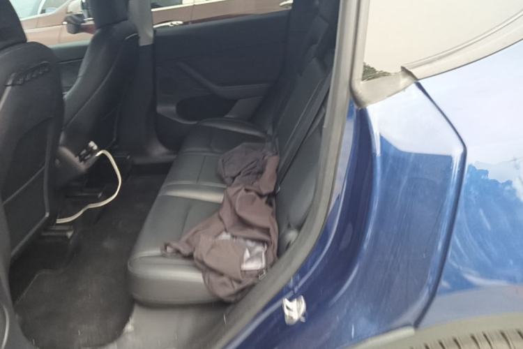 Used Tesla Model Y 2021 Long-Range All-Wheel-Drive Version Left Rear Seat