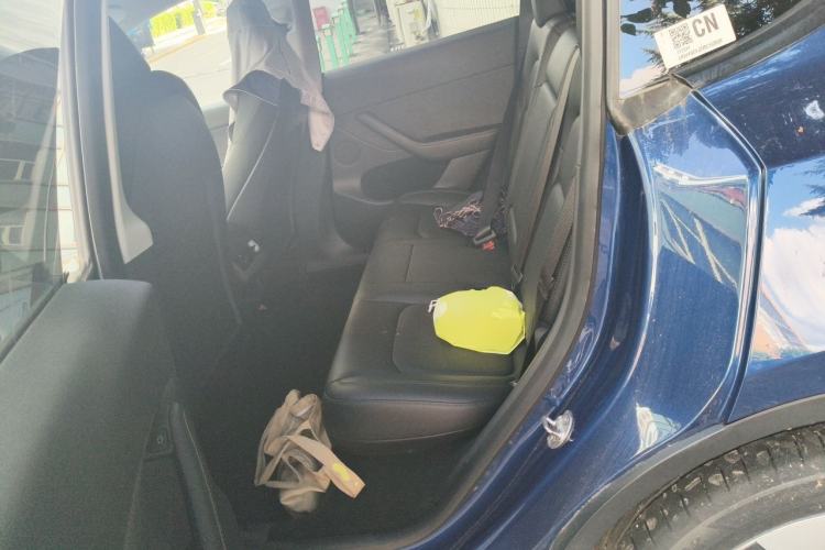 Used Tesla Model Y 2021 Standard Range Rear-Wheel Drive Version Left Rear Seat