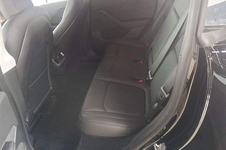 Used Tesla Model Y 2021 Standard Range Rear-Wheel Drive Version Left Rear Seat