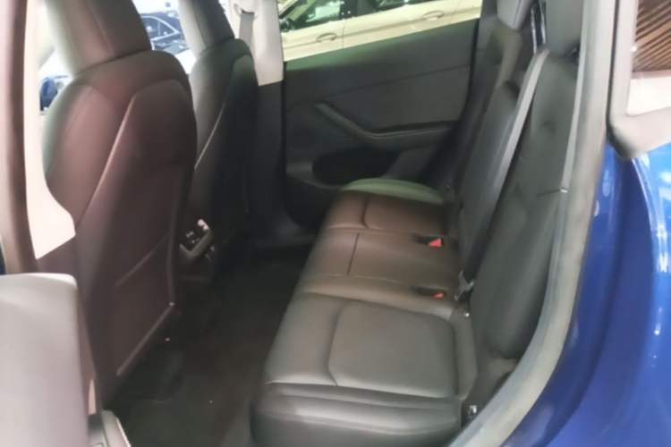 Used Tesla Model Y 2021 Long-Range All-Wheel-Drive Version Left Rear Seat