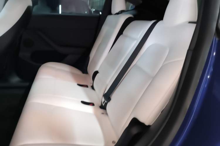 Used Tesla Model Y 2021 Performance High-Performance All-Wheel-Drive Version Left Rear Seat