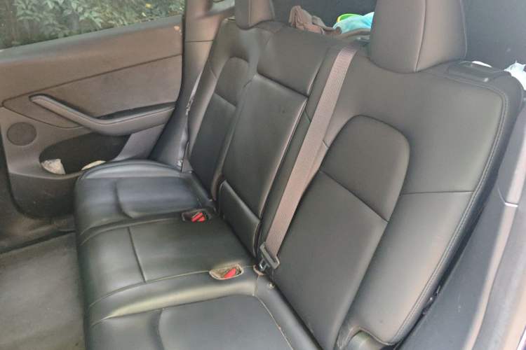 Used Tesla Model Y 2021 Standard Range Rear-Wheel Drive Version Left Rear Seat