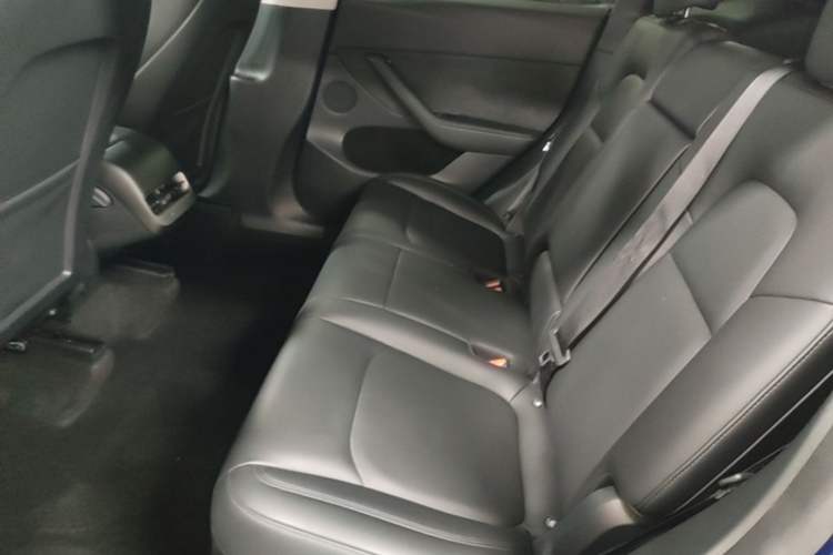 Used Tesla Model Y 2021 Long-Range All-Wheel-Drive Version 3D7 Left Rear Seat