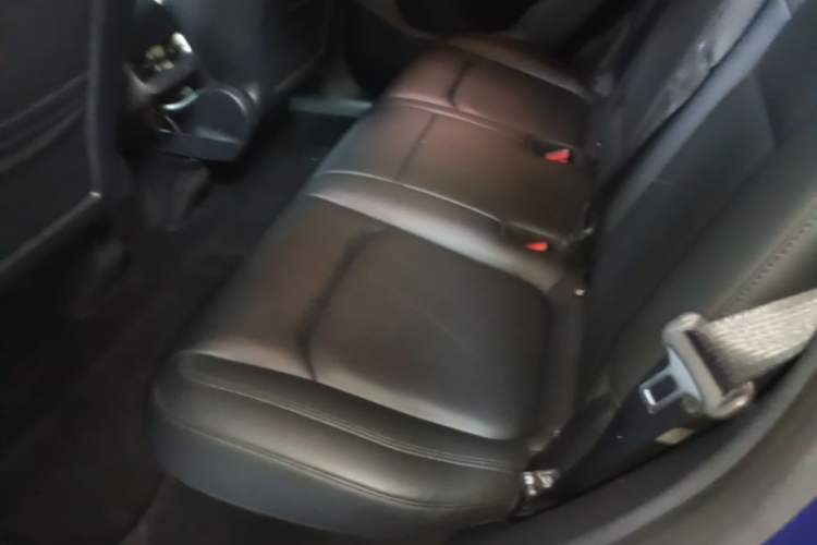 Used Tesla Model Y 2021 Long-Range All-Wheel-Drive Version Left Rear Seat