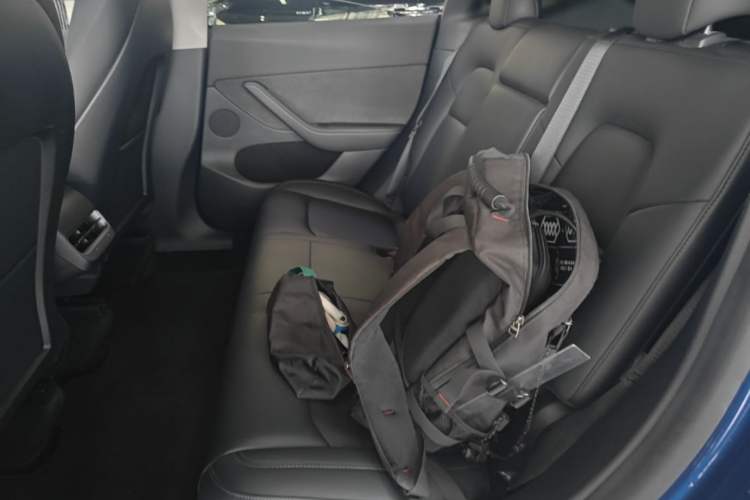 Used Tesla Model Y 2021 Standard Range Rear-Wheel Drive Version Left Rear Seat