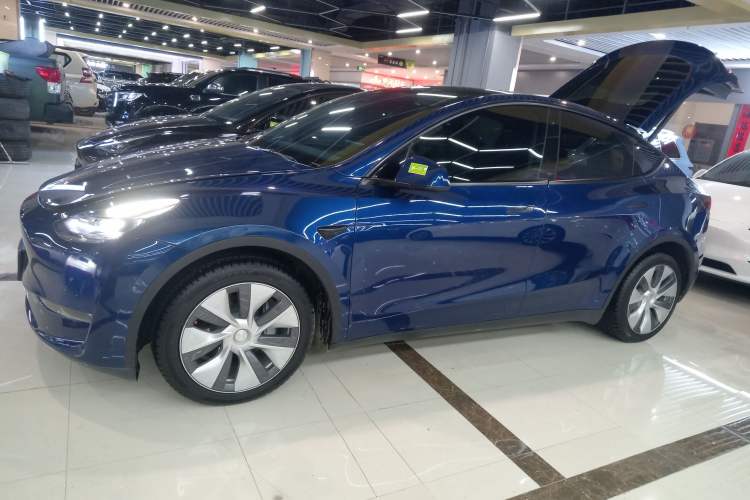 Used Tesla Model Y 2021 Standard Range Rear-Wheel Drive Version Left Side