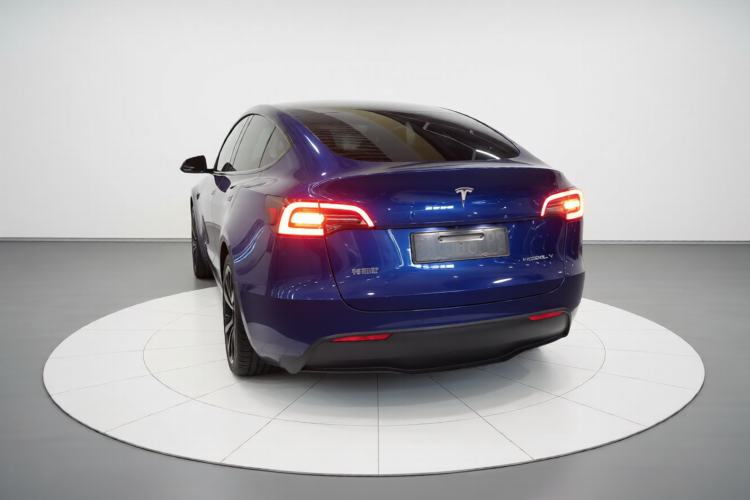 Used Tesla Model Y 2021 Standard Range Rear-Wheel Drive Version Rear