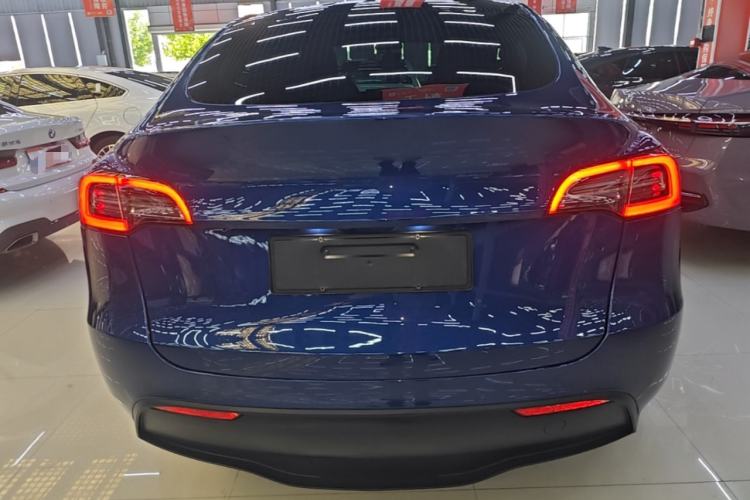 Used Tesla Model Y 2021 Standard Range Rear-Wheel Drive Version Rear