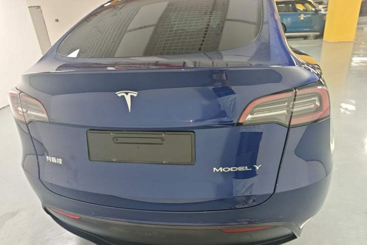Used Tesla Model Y 2021 Standard Range Rear-Wheel Drive Version Rear