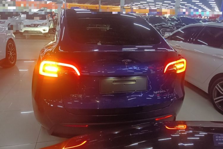 Used Tesla Model Y 2021 Standard Range Rear-Wheel Drive Version Rear