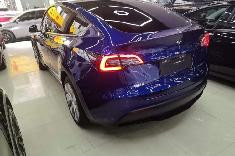 Used Tesla Model Y 2021 Standard Range Rear-Wheel Drive Version Rear Left 45 Deg