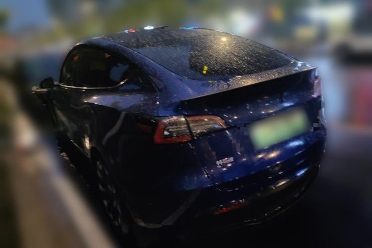 Used Tesla Model Y 2021 Long-Range All-Wheel-Drive Version Rear Left 45 Deg