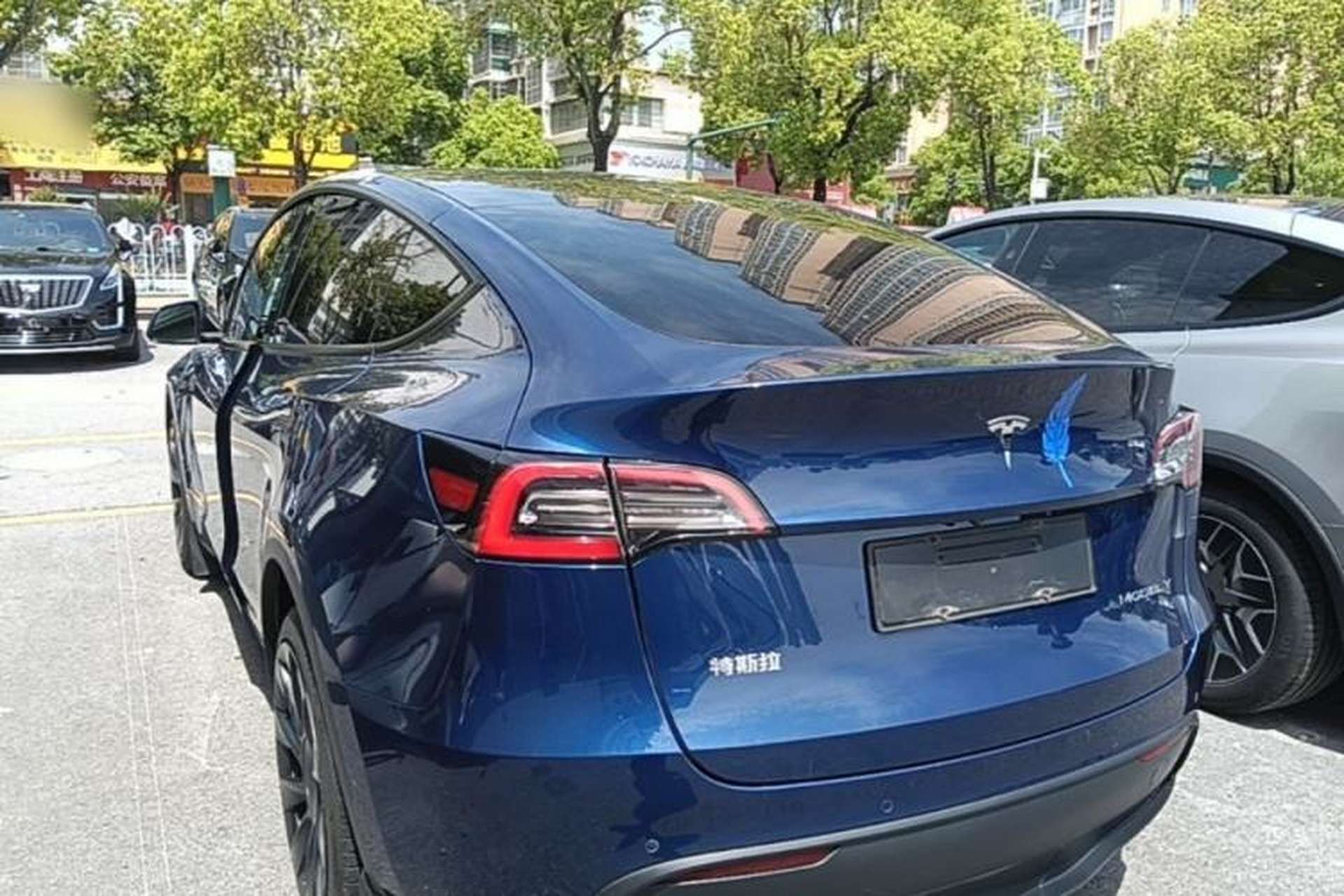 Used Tesla Model Y 2021 Long-Range All-Wheel-Drive Version Rear Left 45 Deg