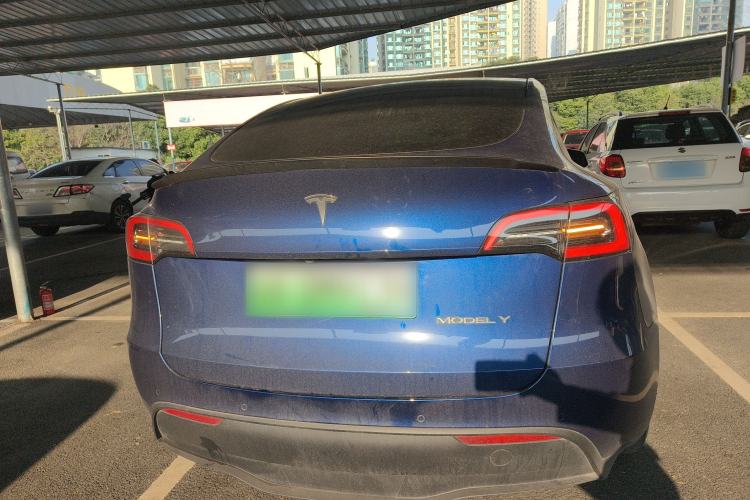 Used Tesla Model Y 2021 Standard Range Rear-Wheel Drive Version Rear