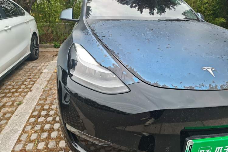 Used Tesla Model Y 2021 Standard Range Rear-Wheel Drive Version Right Front Headlight