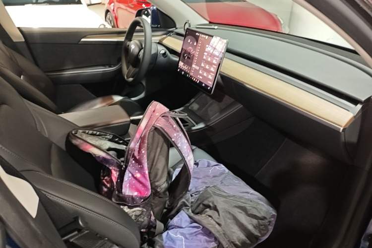 Used Tesla Model Y 2021 Revised Version 2 Long-Range All-Wheel-Drive Edition Right Front Seat