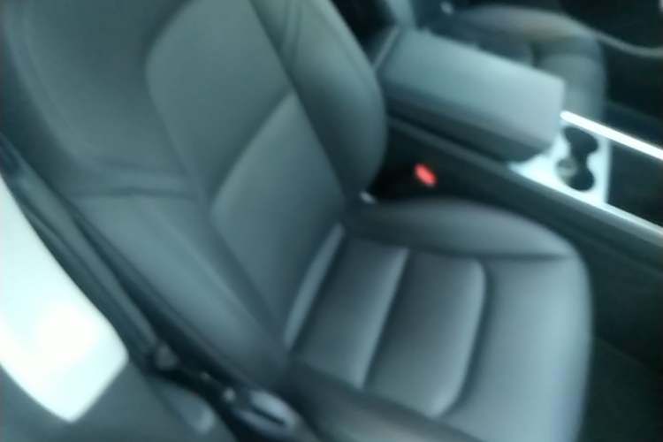 Used Tesla Model Y 2021 Long-Range All-Wheel-Drive Version 3D7 Right Front Seat
