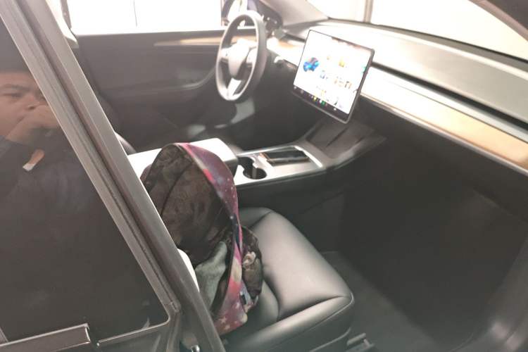 Used Tesla Model Y 2021 Long-Range All-Wheel-Drive Version 3D7 Right Front Seat