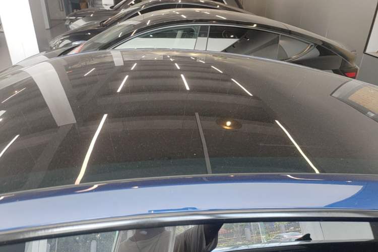 Used Tesla Model Y 2021 Standard Range Rear-Wheel Drive Version Roof