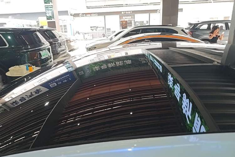 Used Tesla Model Y 2021 Standard Range Rear-Wheel Drive Version Roof