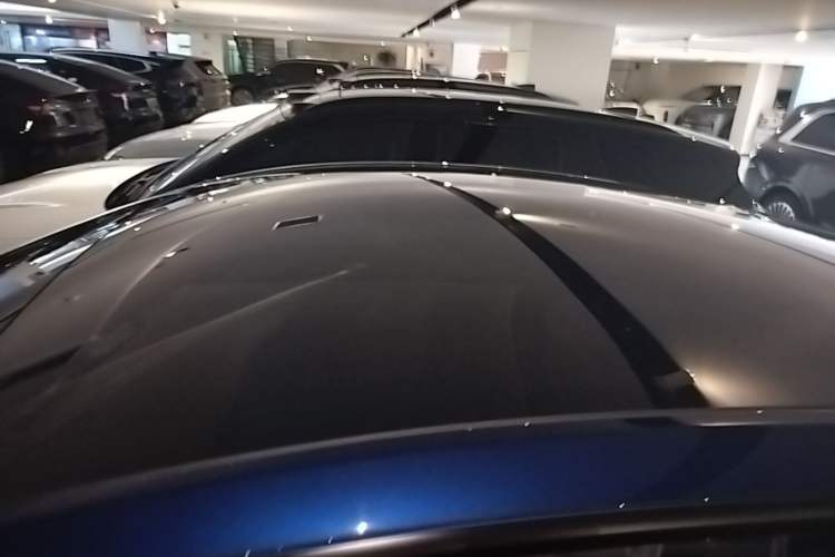 Used Tesla Model Y 2021 Long-Range All-Wheel-Drive Version Roof