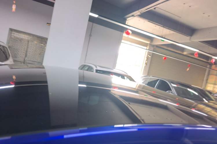 Used Tesla Model Y 2021 Standard Range Rear-Wheel Drive Version Roof