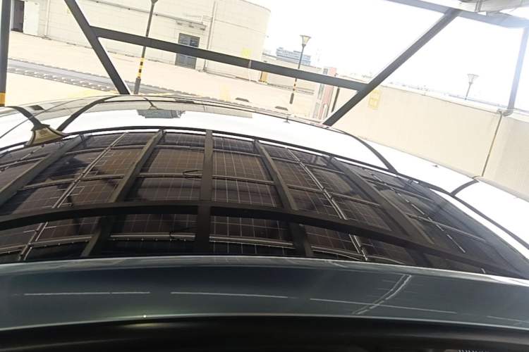 Used Tesla Model Y 2021 Standard Range Rear-Wheel Drive Version Roof