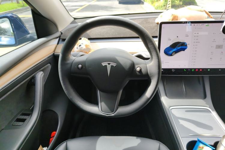 Used Tesla Model Y 2021 Standard Range Rear-Wheel Drive Version Steering Wheel