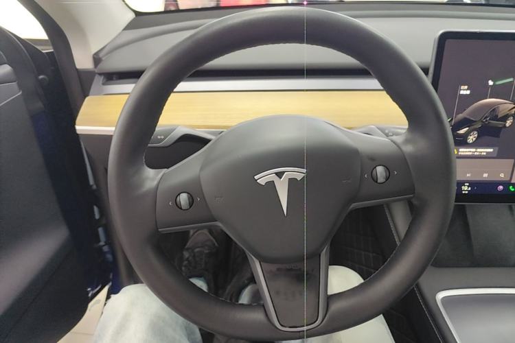 Used Tesla Model Y 2021 Standard Range Rear-Wheel Drive Version Steering Wheel