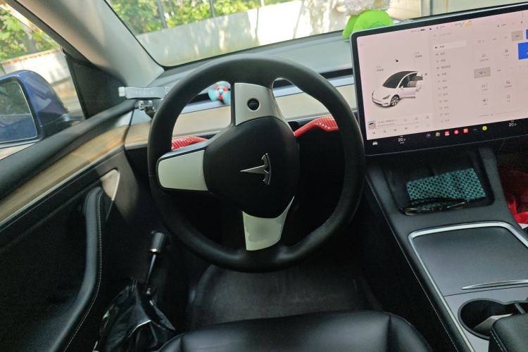 Used Tesla Model Y 2021 Standard Range Rear-Wheel Drive Version Steering Wheel