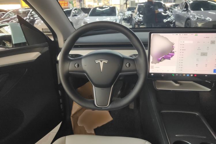 Used Tesla Model Y 2021 Standard Range Rear-Wheel Drive Version Steering Wheel
