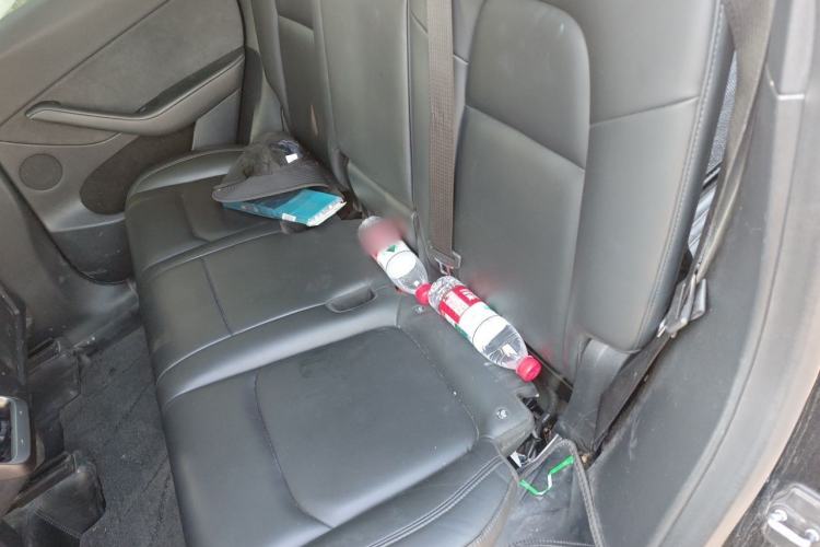 Used Tesla Model Y 2021 Standard Range Rear-Wheel Drive Version Left Rear Seat