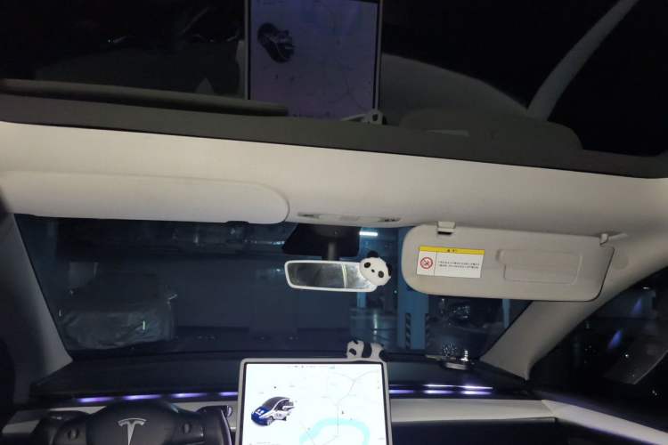 Used Tesla Model Y 2021 Long-Range All-Wheel-Drive Version Headliner
