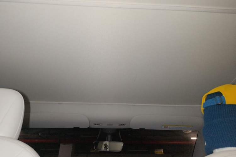 Used Tesla Model Y 2021 Long-Range All-Wheel-Drive Version Headliner