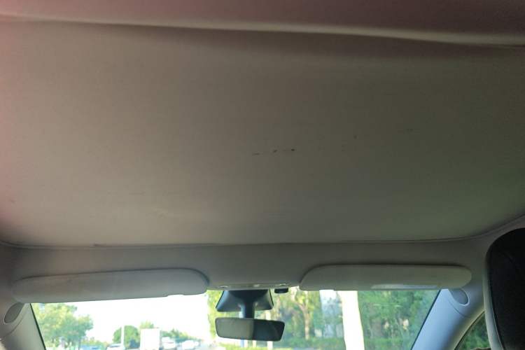 Used Tesla Model Y 2021 Standard Range Rear-Wheel Drive Version Headliner