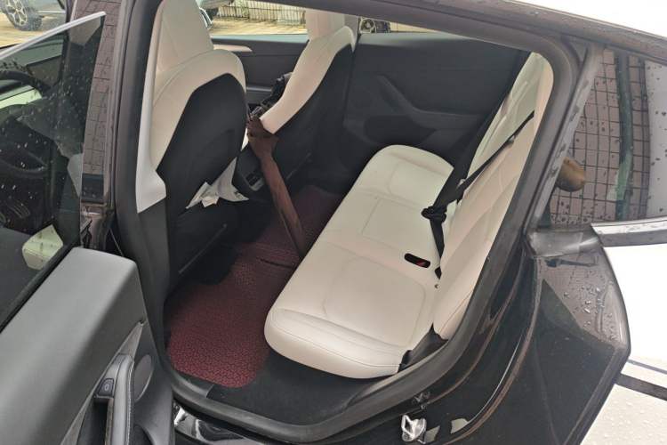 Used Tesla Model Y 2021 Performance High-Performance All-Wheel-Drive Version Left Rear Seat