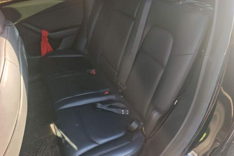 Used Tesla Model Y 2021 Standard Range Rear-Wheel Drive Version Left Rear Seat