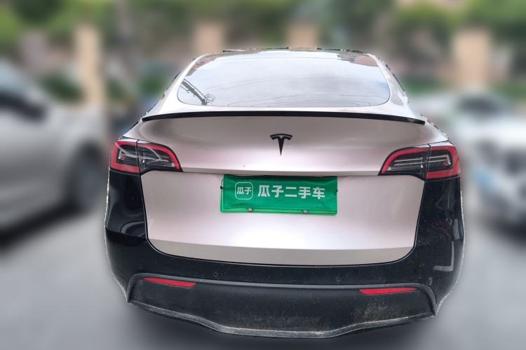 Used Tesla Model Y 2021 Standard Range Rear-Wheel Drive Version Rear