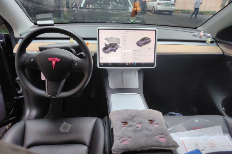 Used Tesla Model Y 2021 Standard Range Rear-Wheel Drive Version Center Console