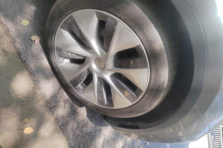 Used Tesla Model Y 2021 Standard Range Rear-Wheel Drive Version Exterior 1