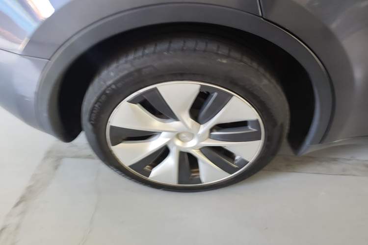 Used Tesla Model Y 2021 Standard Range Rear-Wheel Drive Version Exterior 2