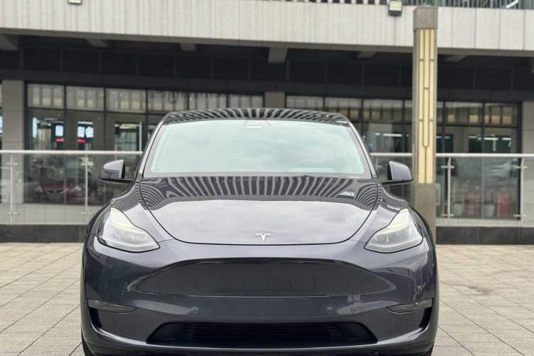 Used Tesla Model Y 2021 Performance High-Performance All-Wheel-Drive Version Exterior 4
