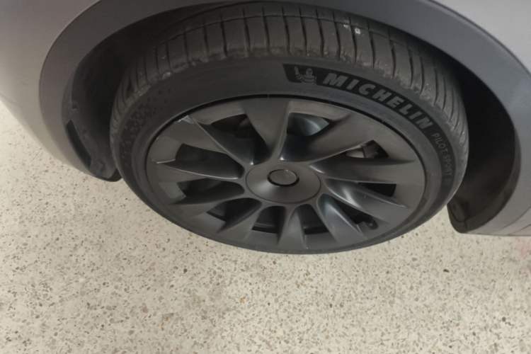 Used Tesla Model Y 2021 Standard Range Rear-Wheel Drive Version Exterior 4