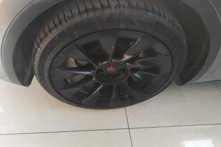 Used Tesla Model Y 2021 Revised Version 2 Long-Range All-Wheel-Drive Edition Exterior 4