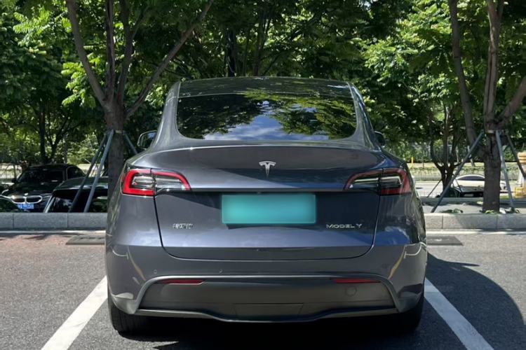 Used Tesla Model Y 2021 Standard Range Rear-Wheel Drive Version Exterior 4