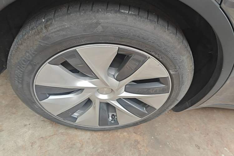 Used Tesla Model Y 2021 Standard Range Rear-Wheel Drive Version Exterior 5