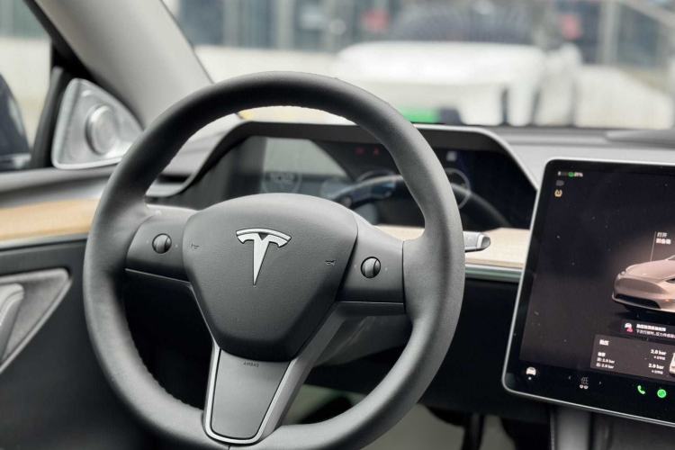 Used Tesla Model Y 2021 Performance High-Performance All-Wheel-Drive Version Exterior 5