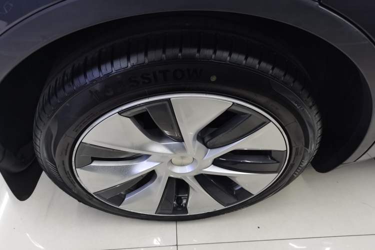 Used Tesla Model Y 2021 Long-Range All-Wheel-Drive Version Exterior 5